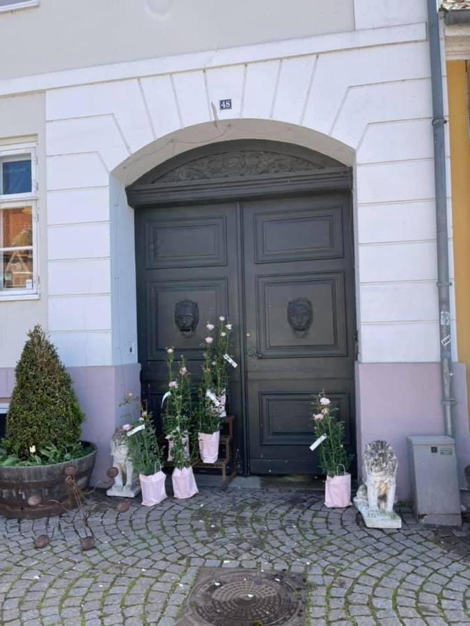 Apothekergaarden Stege Stuen Mod Gardhaven Bed & Breakfast Bagian luar foto